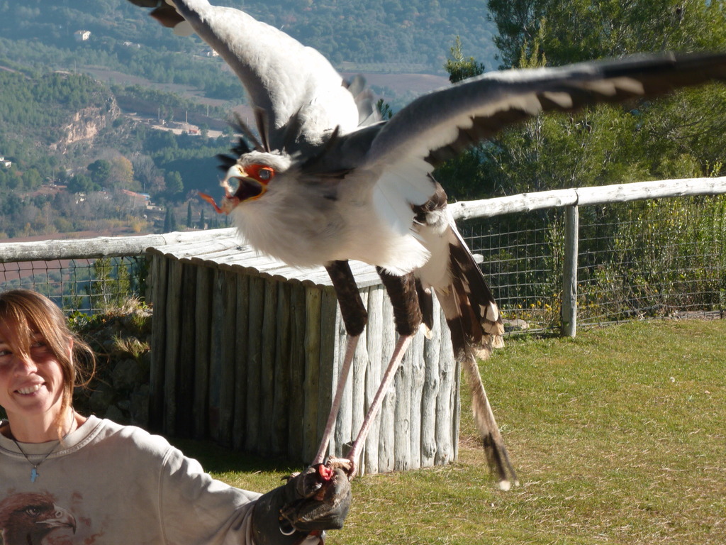 No s'ha trobat l'arxiu